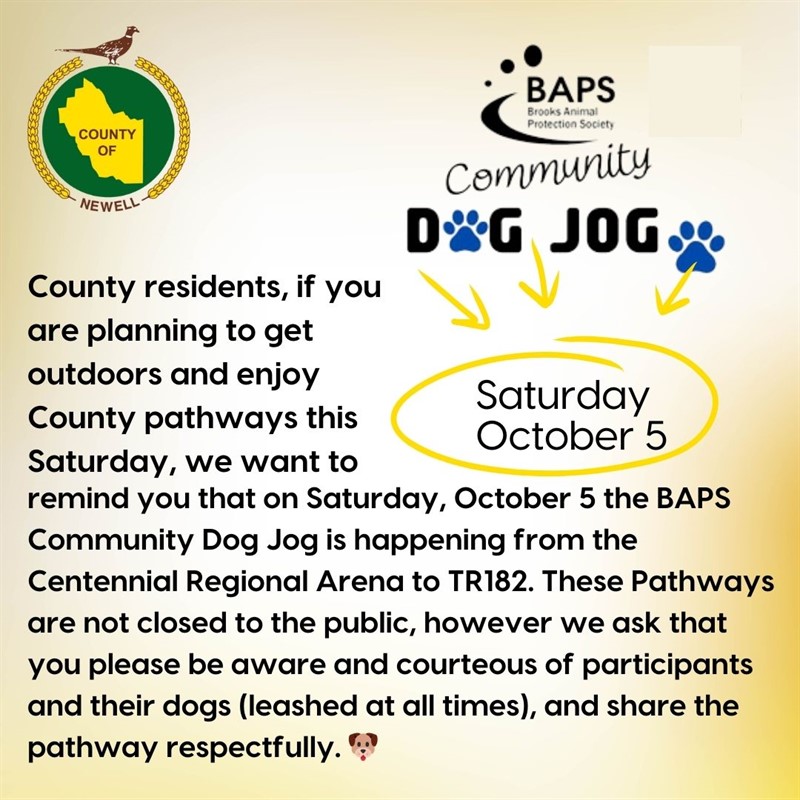 BAPS Community Dog Jog