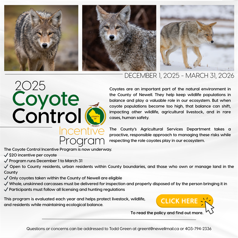 County Coyote Incentive Program Dec 1 - Mar 31