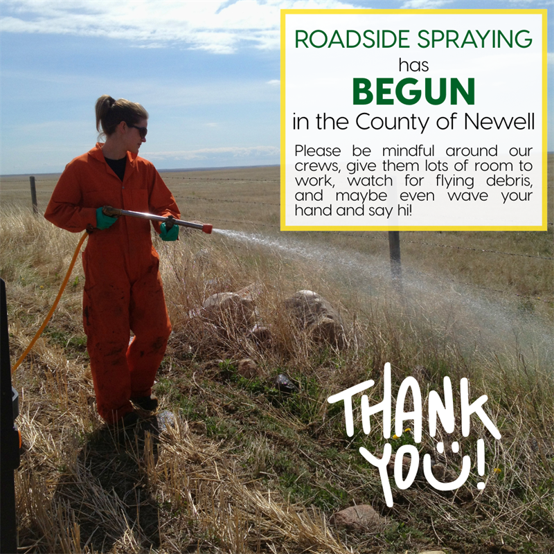 Roadside spraying has begun in the County of Newell