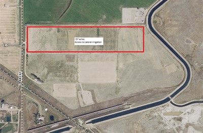 McLeod_Irrigated_Land_(1)