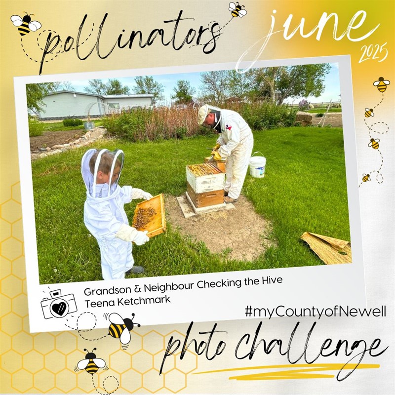 Teena_Ketchmark_Grandson__Neighbour_Checking_the_Hive