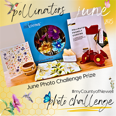 prize(1)